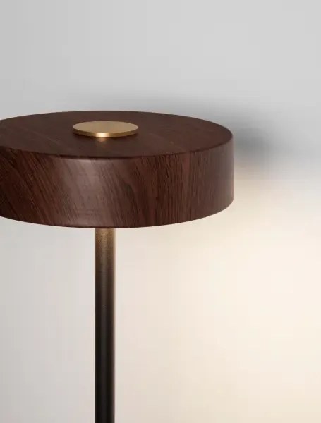 LED čierna-drevo stojaca lampa Thea
