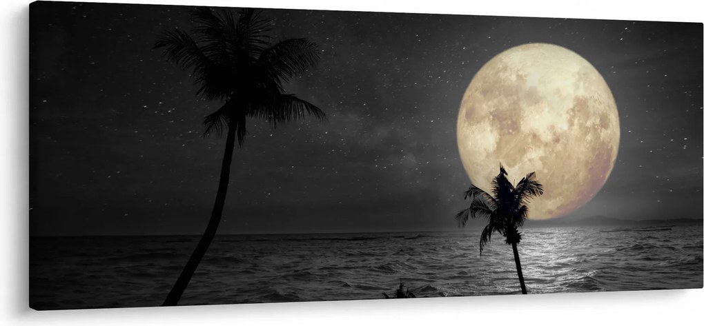 Obraz - Pláž za splnu v šedých tónoch (120x50 cm)