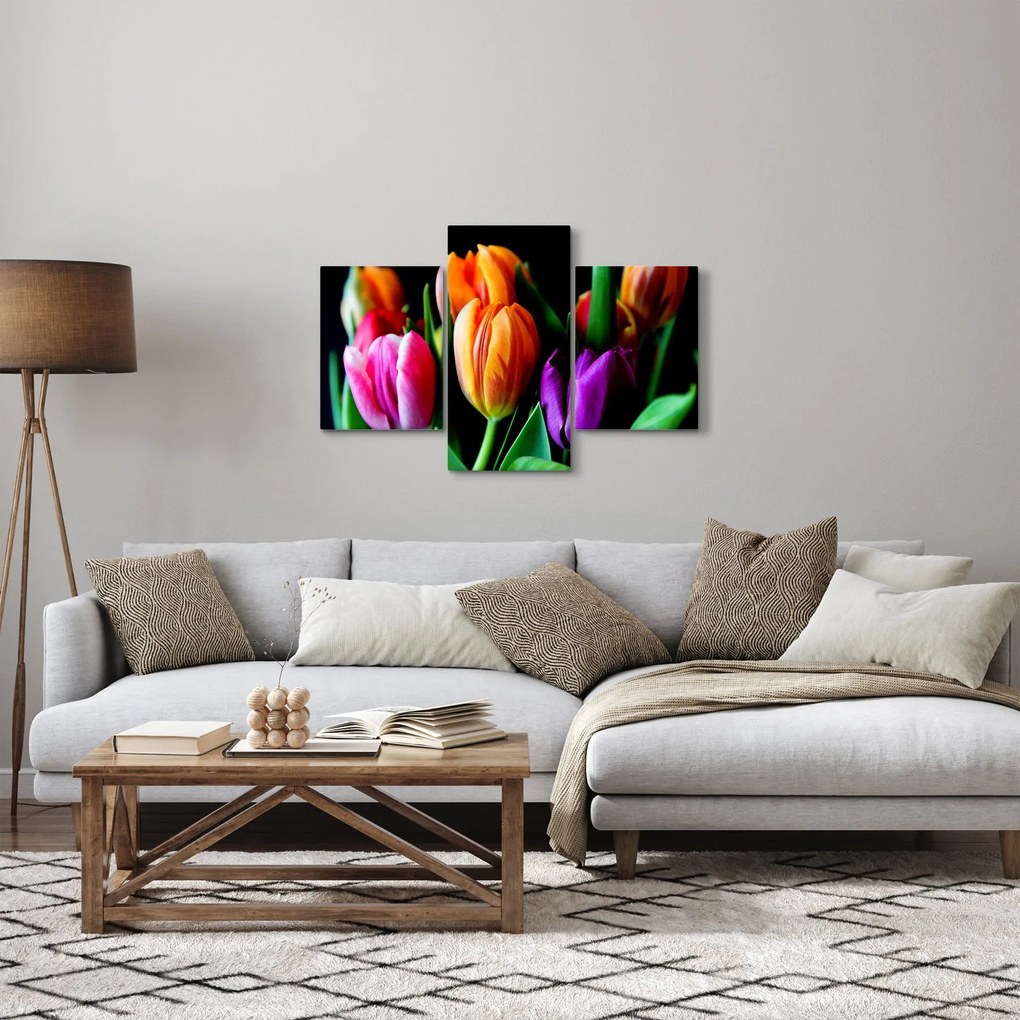 Obraz tulipánov na čiernom pozadí (90x60 cm)