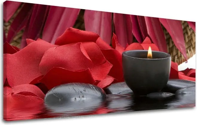 Obraz na stenu PANORÁMA FENG SHUI FS040E13