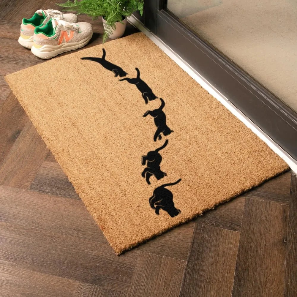 Rohožka z kokosového vlákna 40x60 cm Jumping Cats – Artsy Doormats