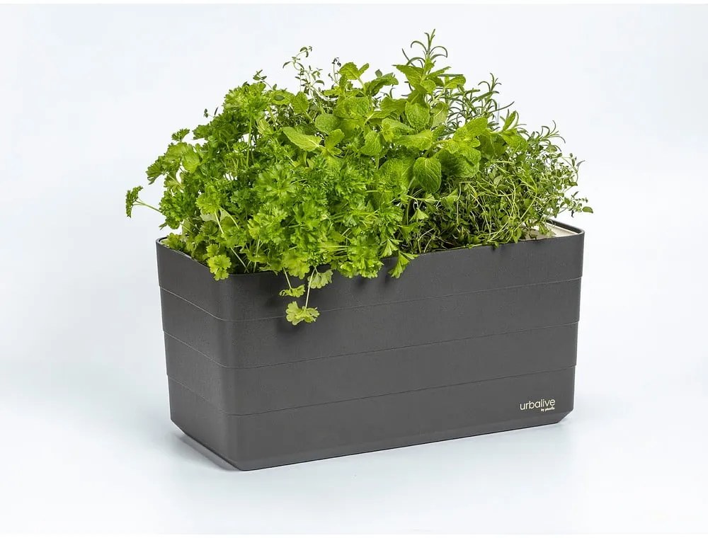 Plastový samozavlažovací kvetináč 39,5 cm Berberis – Plastia