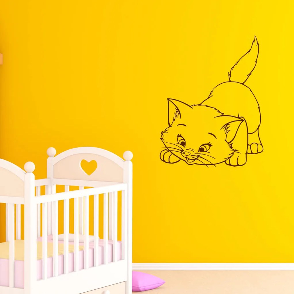 Veselá Stena Samolepka Roztomilá mačička Farba: oranžová, Veľkosť: 60 x 60 cm
