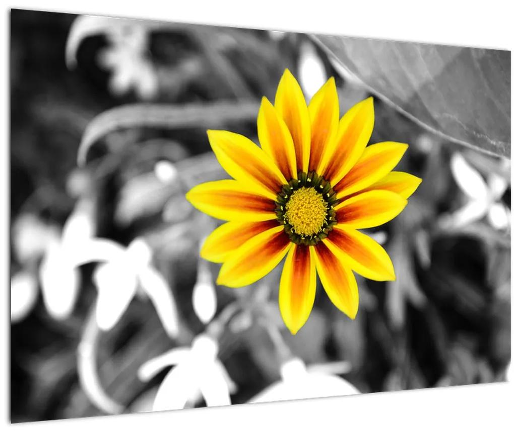 Obraz žltej kvetiny (90x60 cm)