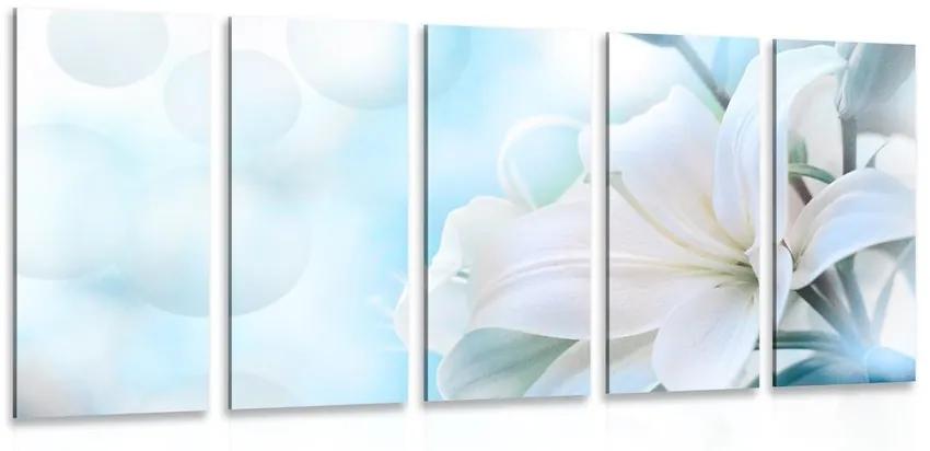 5-dielny obraz biely kvet ľalie na abstraktnom pozadí - 200x100