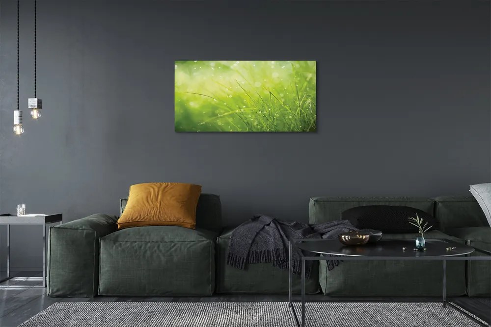 Obraz canvas Tráva kvapky rosy 125x50 cm
