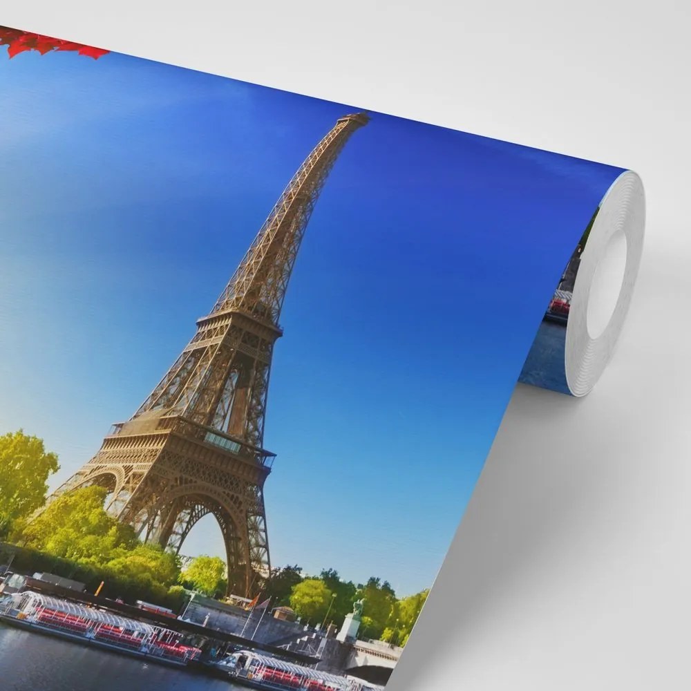 Samolepiaca fototapeta jesenný Paríž - 225x150