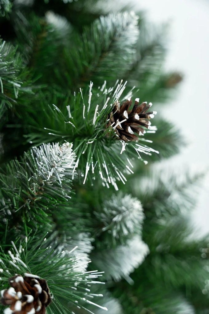 Limpol Vianočný stromček Borovica Verona biela Výška stromčeka: 220 cm