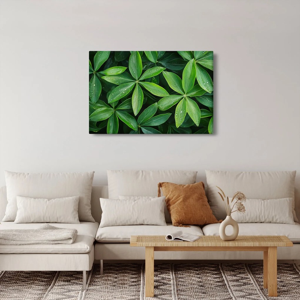 Obraz - Listy s kvapkami rosy (90x60 cm)