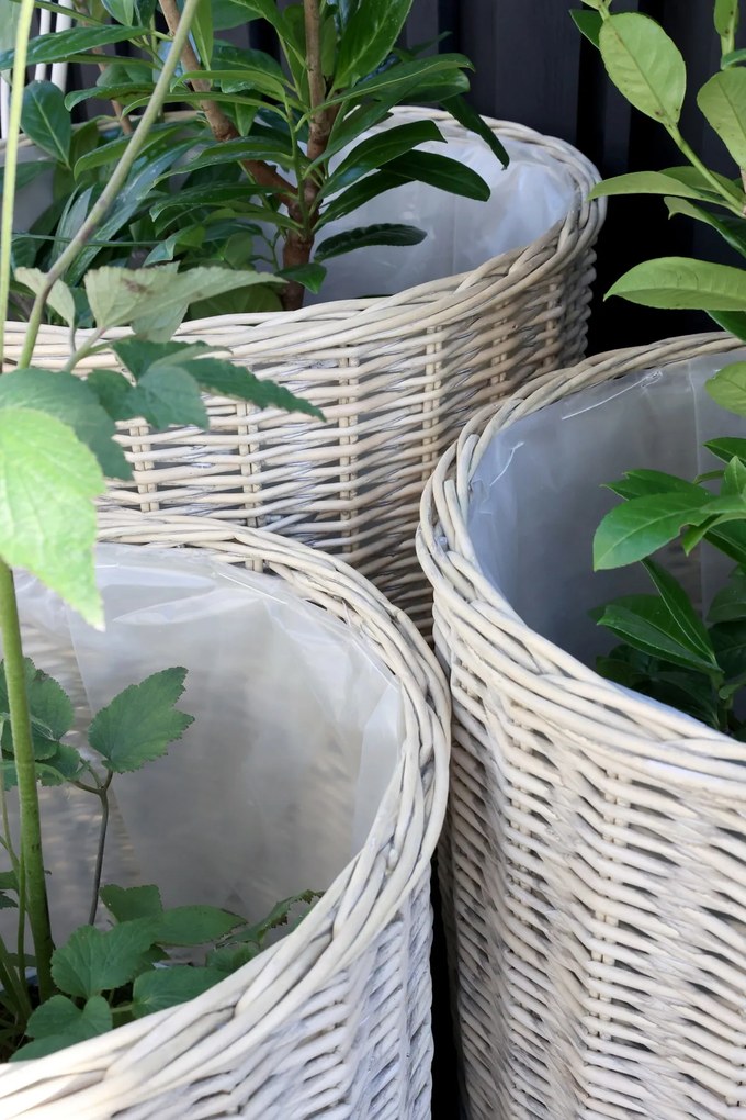 Chic Antique Prútený obal na kvetináč na kolieskach French M