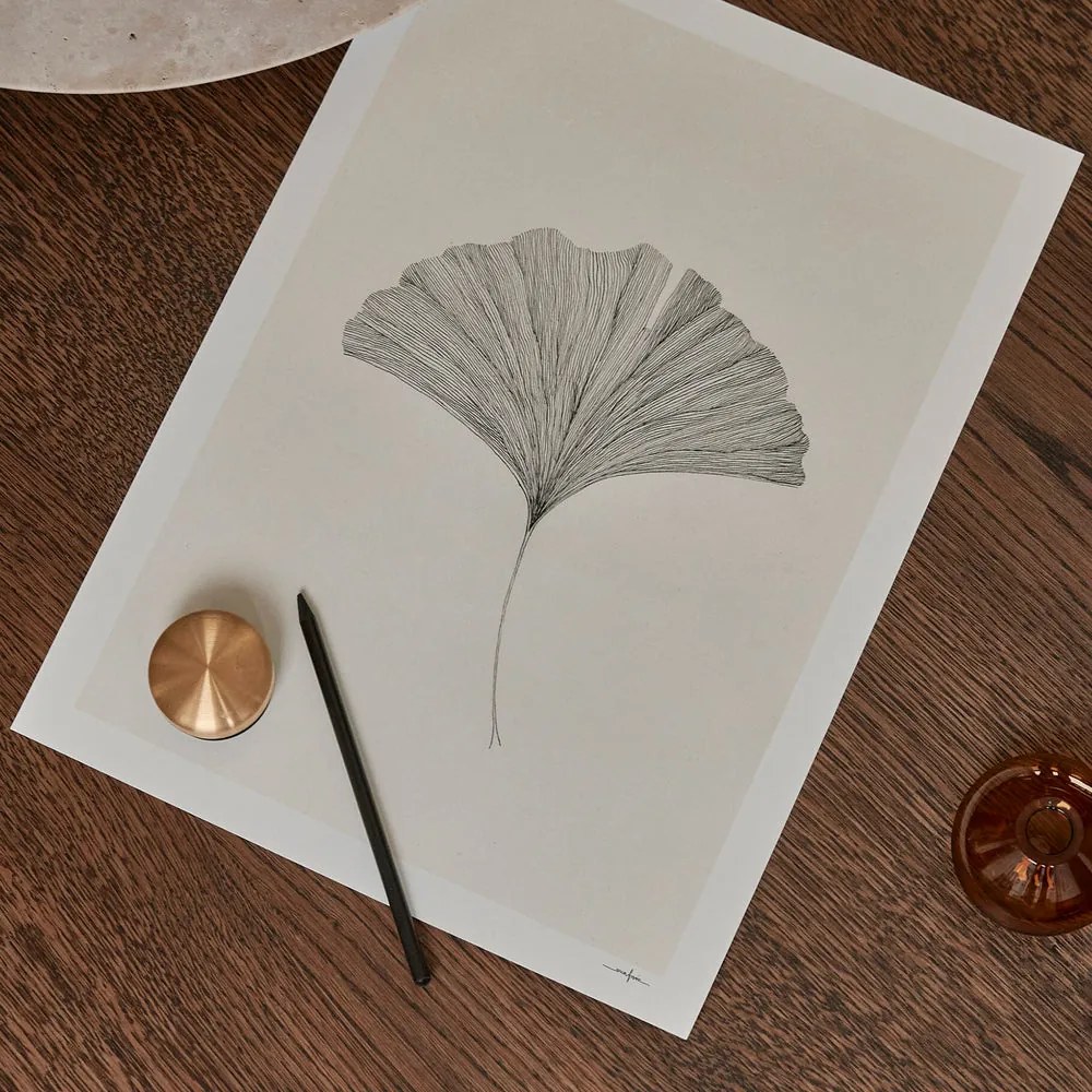 The Poster Club Plagát Ginkgo Leaf by Ana Frois A4 (21x27cm)