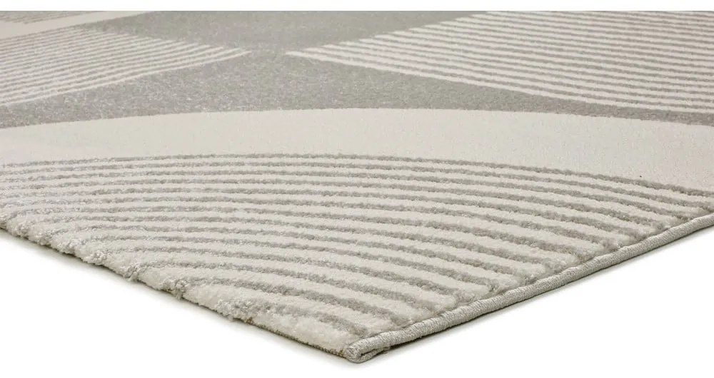 Koberec vo svetlosivej a slonovinovej farbe 160x230 cm Flora – Universal