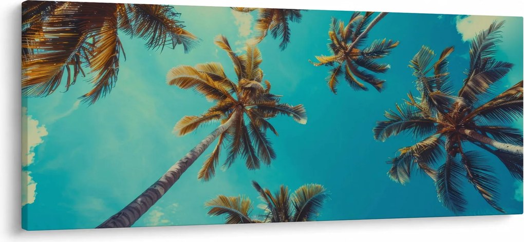 Obraz - Vysoké palmy (120x50 cm)