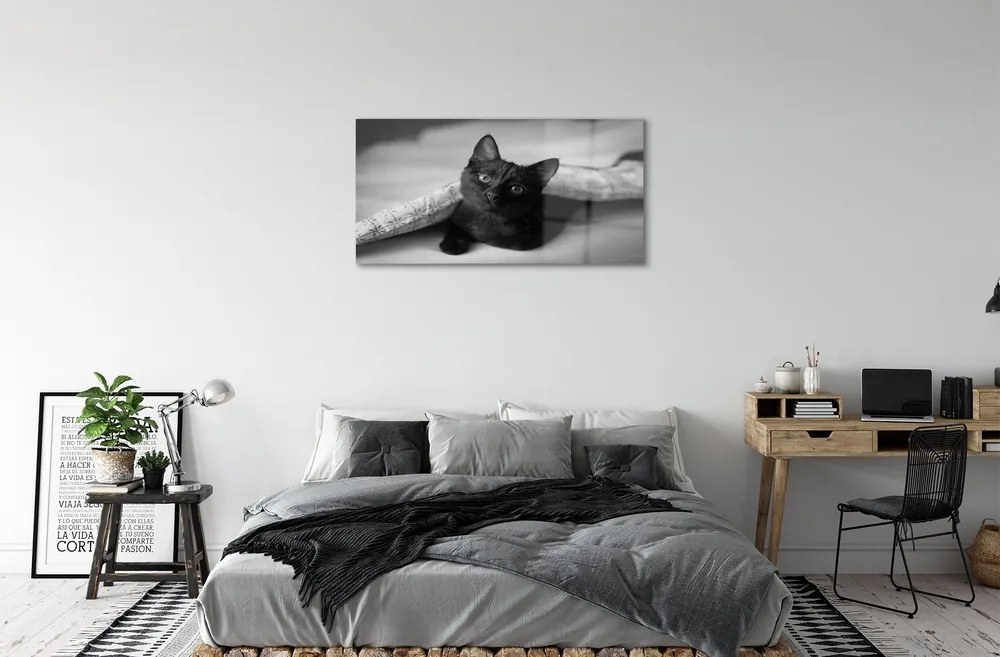 Sklenený obraz Mačka pod prikrývkou 140x70 cm