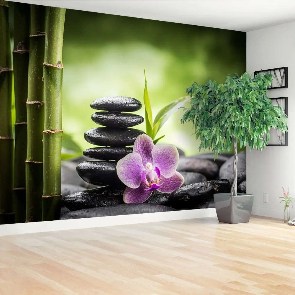 Fototapeta Vliesová Orchidea zen 312x219 cm