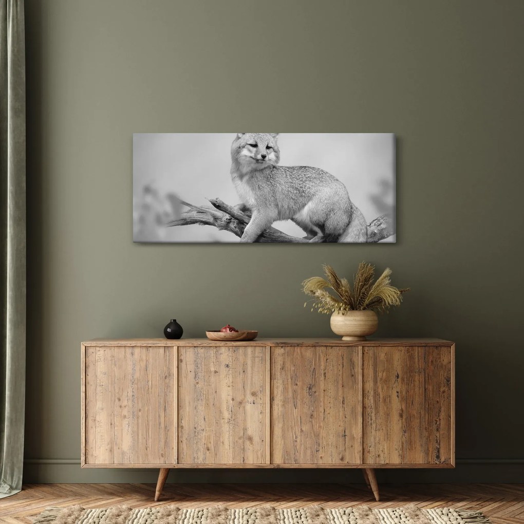 Obraz - Líška šedá (120x50 cm)