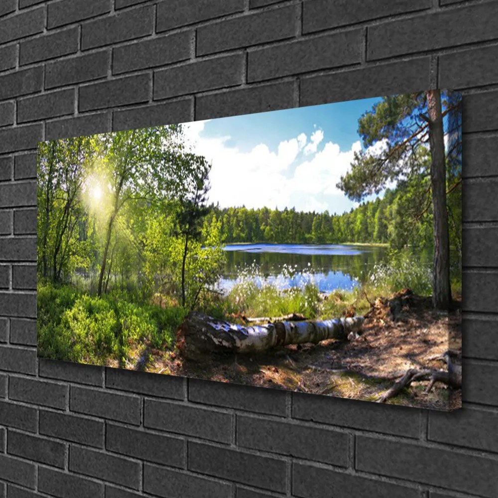 Obraz Canvas Les stromy jazero príroda 140x70 cm