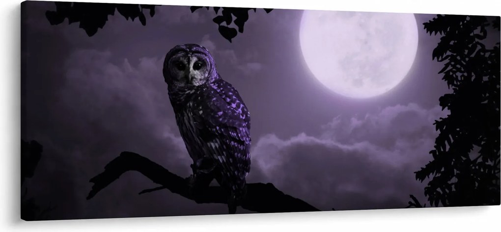 Obraz - Nočná sova, fialová (120x50 cm)