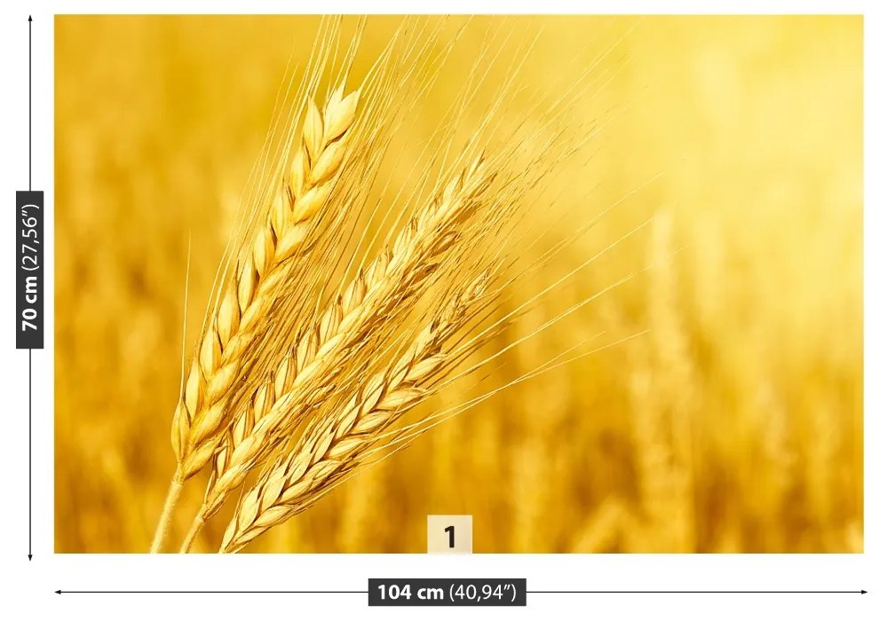 Fototapeta Vliesová Klas pšenice 104x70 cm