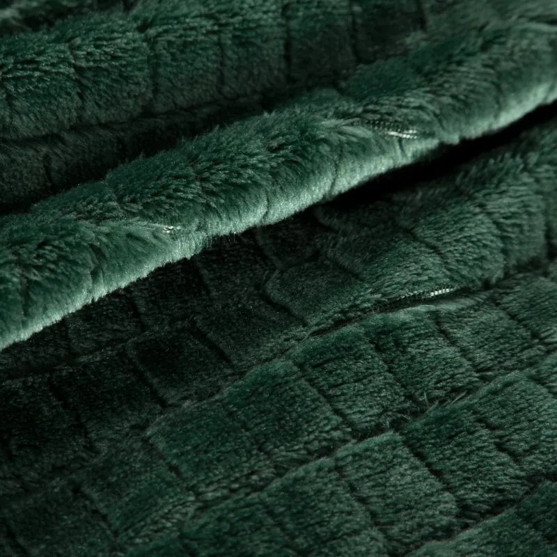 EUROFIRANY Nadýchaná a veľmi mäkká prikrývka z mikroflísu 170 cm x 210 cm tmavozelená 100 % polyester Varianta: 352563