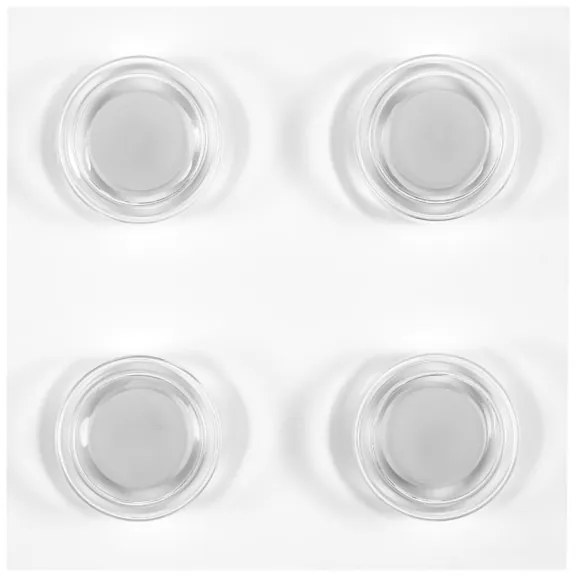 Ledvance - LED Kúpeľňové stropné svietidlo ORBIS FLAME 4xLED/5,5W/230V IP44 biela