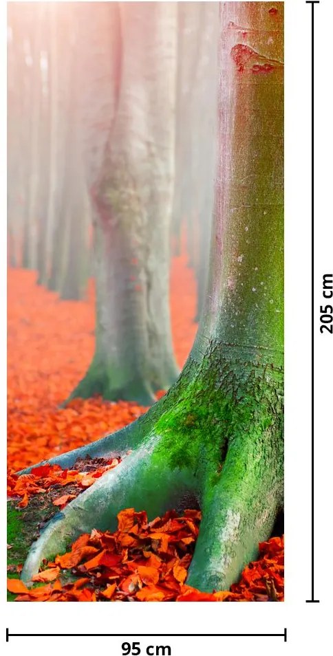 Fototapeta na dvere - Stromy (95x205cm)