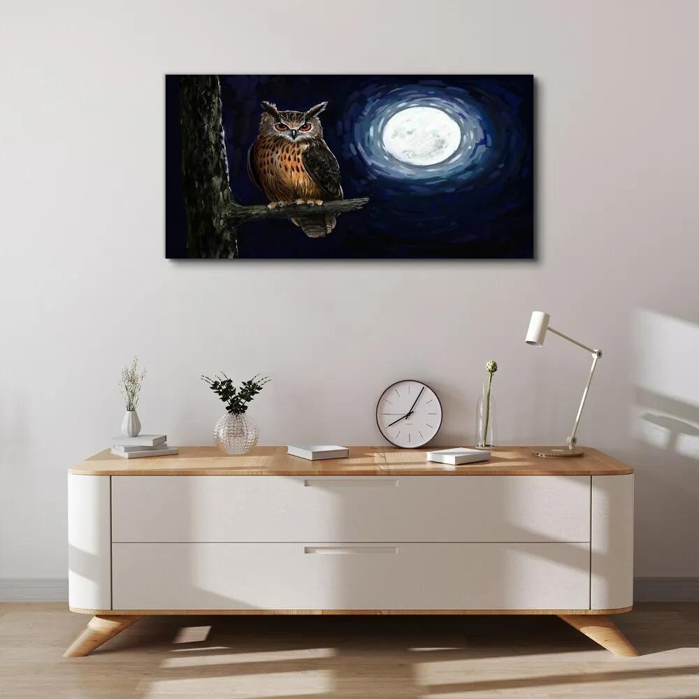 Obraz canvas strom vetva sova nočné mesiac