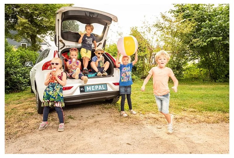 Detský desiatový box s fliaš Flowers &amp; butterflies – Mepal