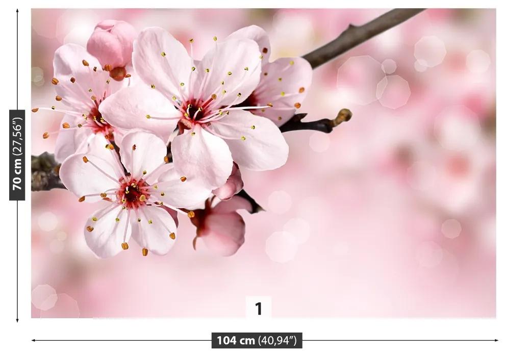 Fototapeta Vliesová Ružový kvet 152x104 cm