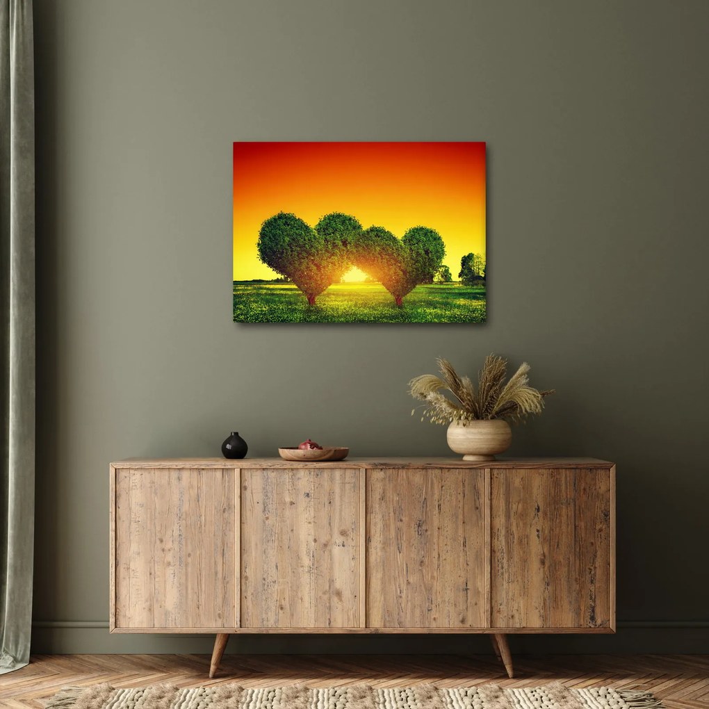 Obraz - Srdce v korunách stromov (70x50 cm)