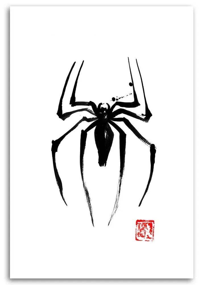 Gario Obraz na plátne Čierny pavúk - Péchane Rozmery: 40 x 60 cm
