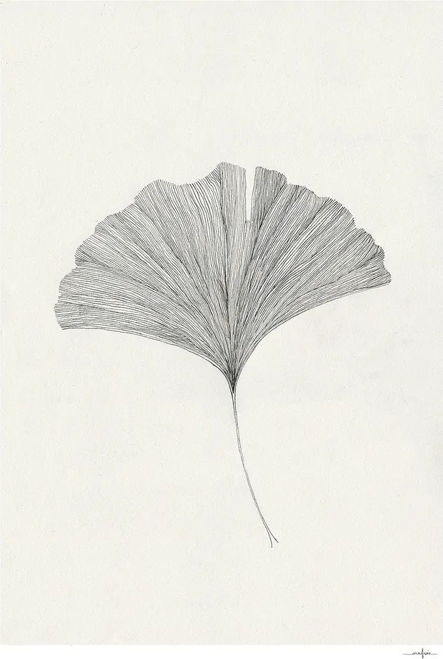 Plagát 50x70 cm Ginkgo Leaf – Ana Frois – The Poster Club