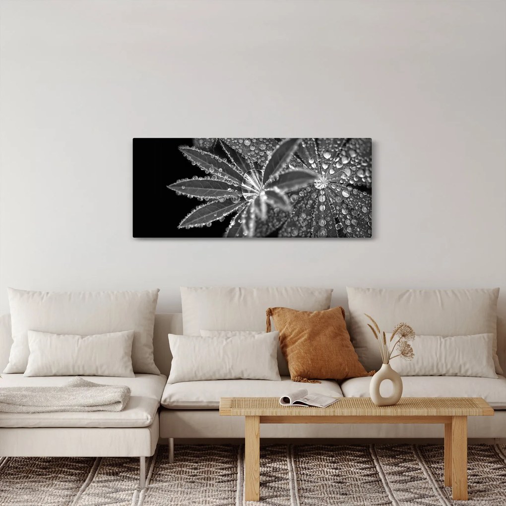 Obraz - Kvapky (120x50 cm)