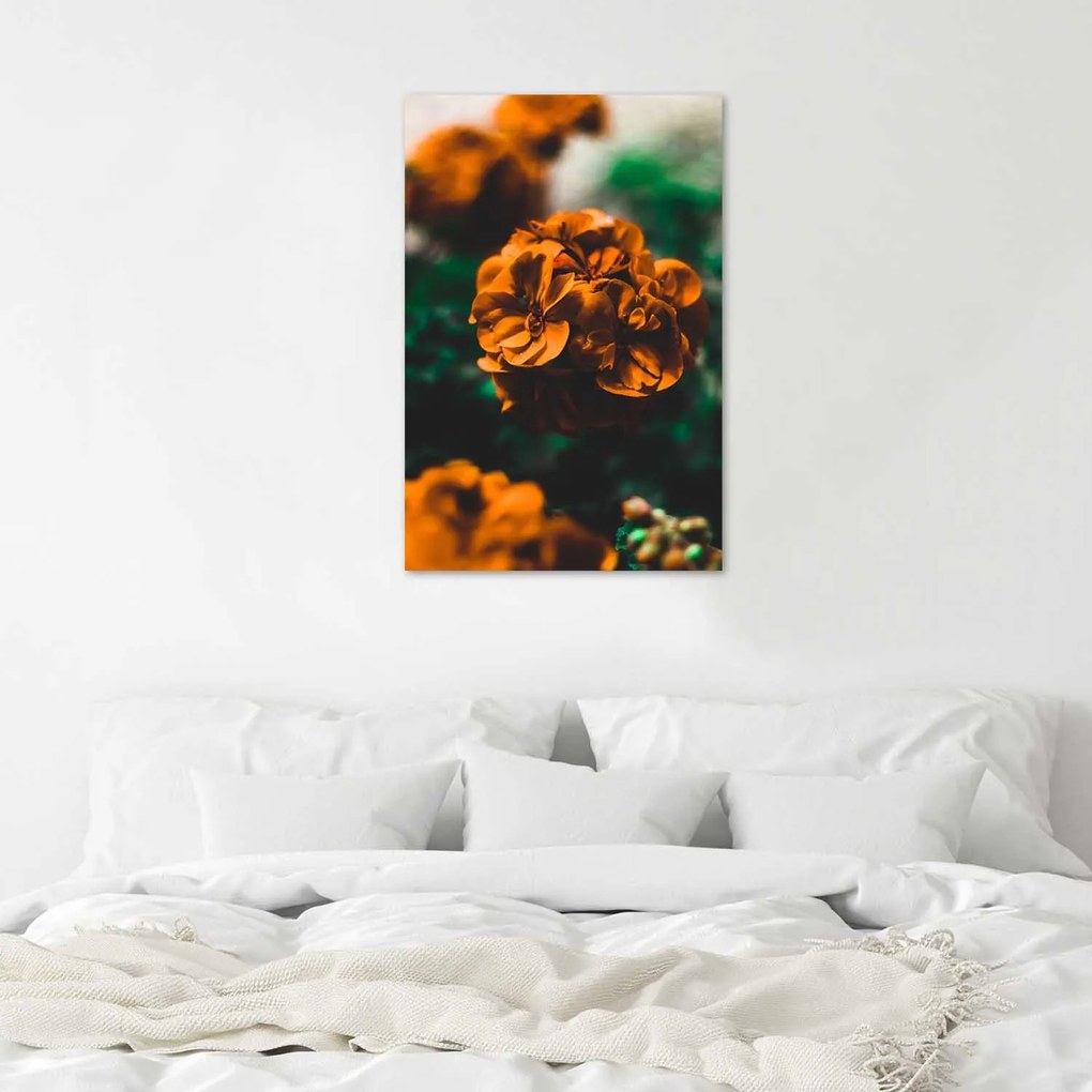 Gario Plagát Oranžové letné kvety Farba rámu: Čierna, Rozmery: 70 x 100 cm