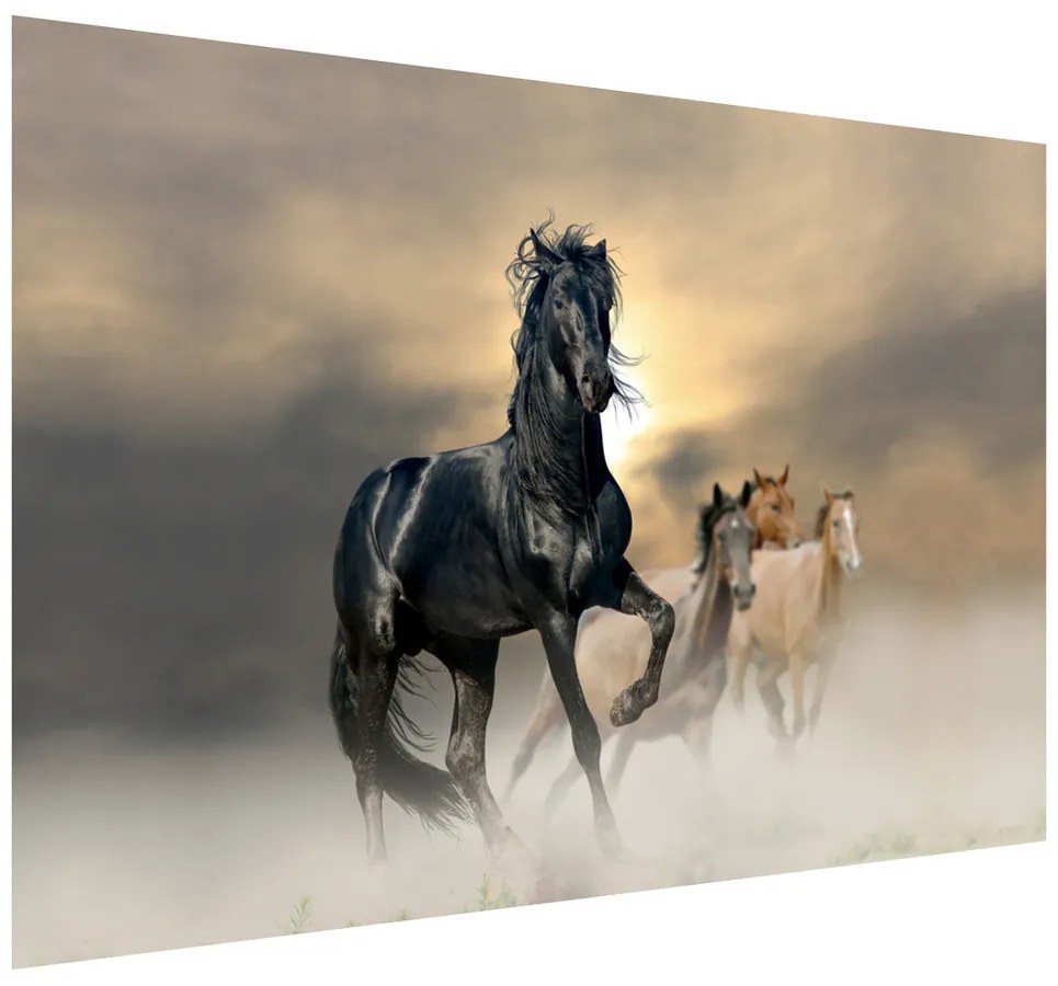 Gario Fototapeta Nádherný čierny kôň Materiál: Samolepiaca, Rozmery: 200 x 135 cm