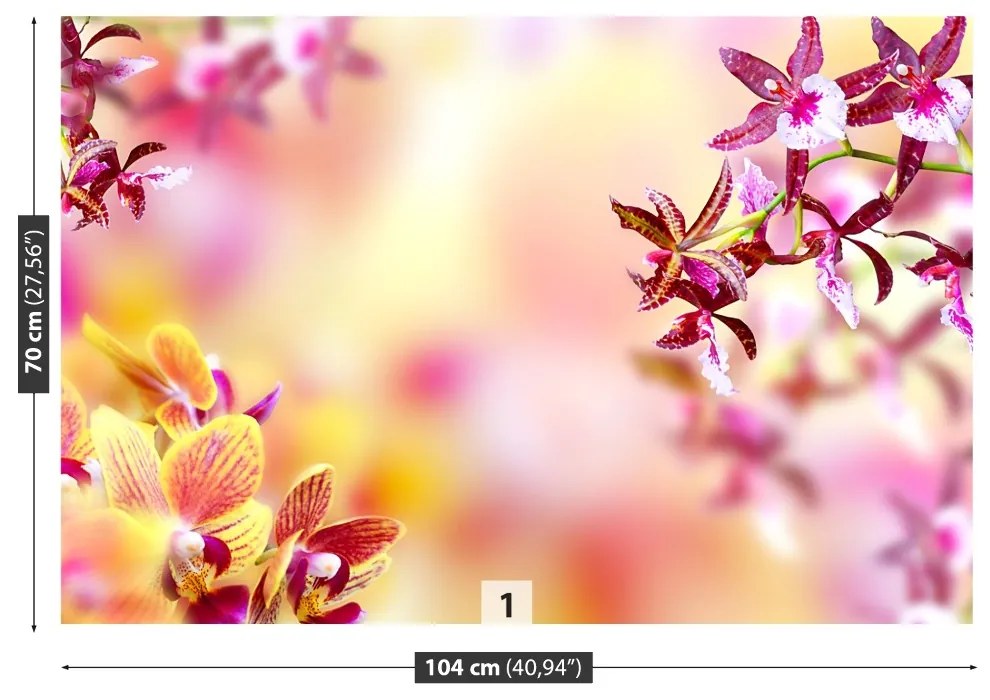 Fototapeta Vliesová Ružová orchidea 208x146 cm