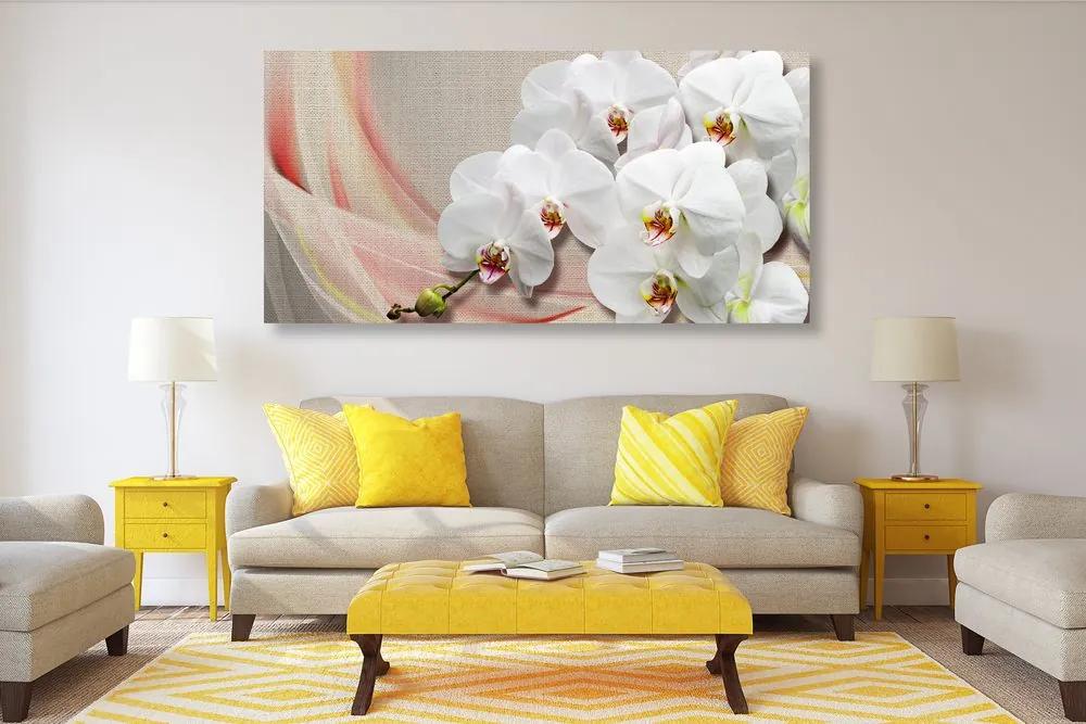 Obraz biela orchidea na plátne Varianta: 100x50