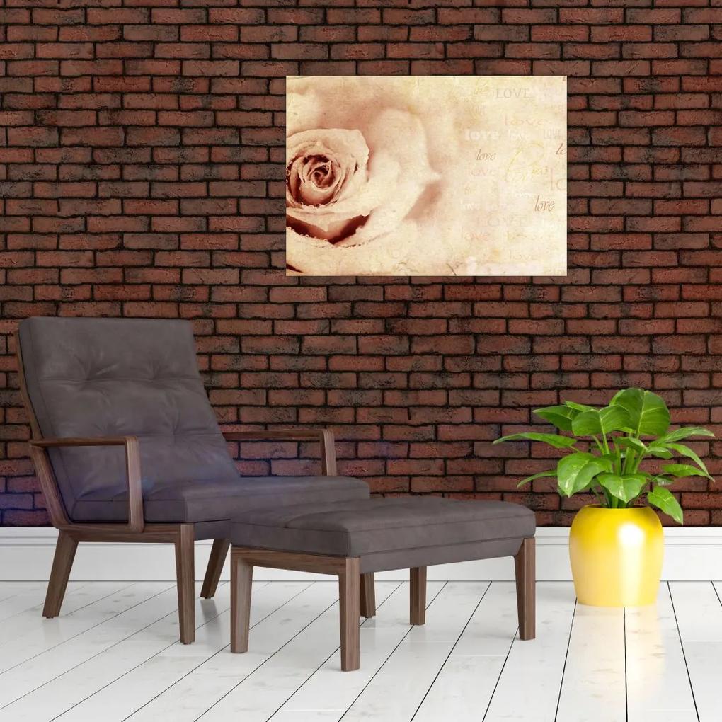 Sklenený obraz - Kvet ruže pre zaľúbených (70x50 cm)