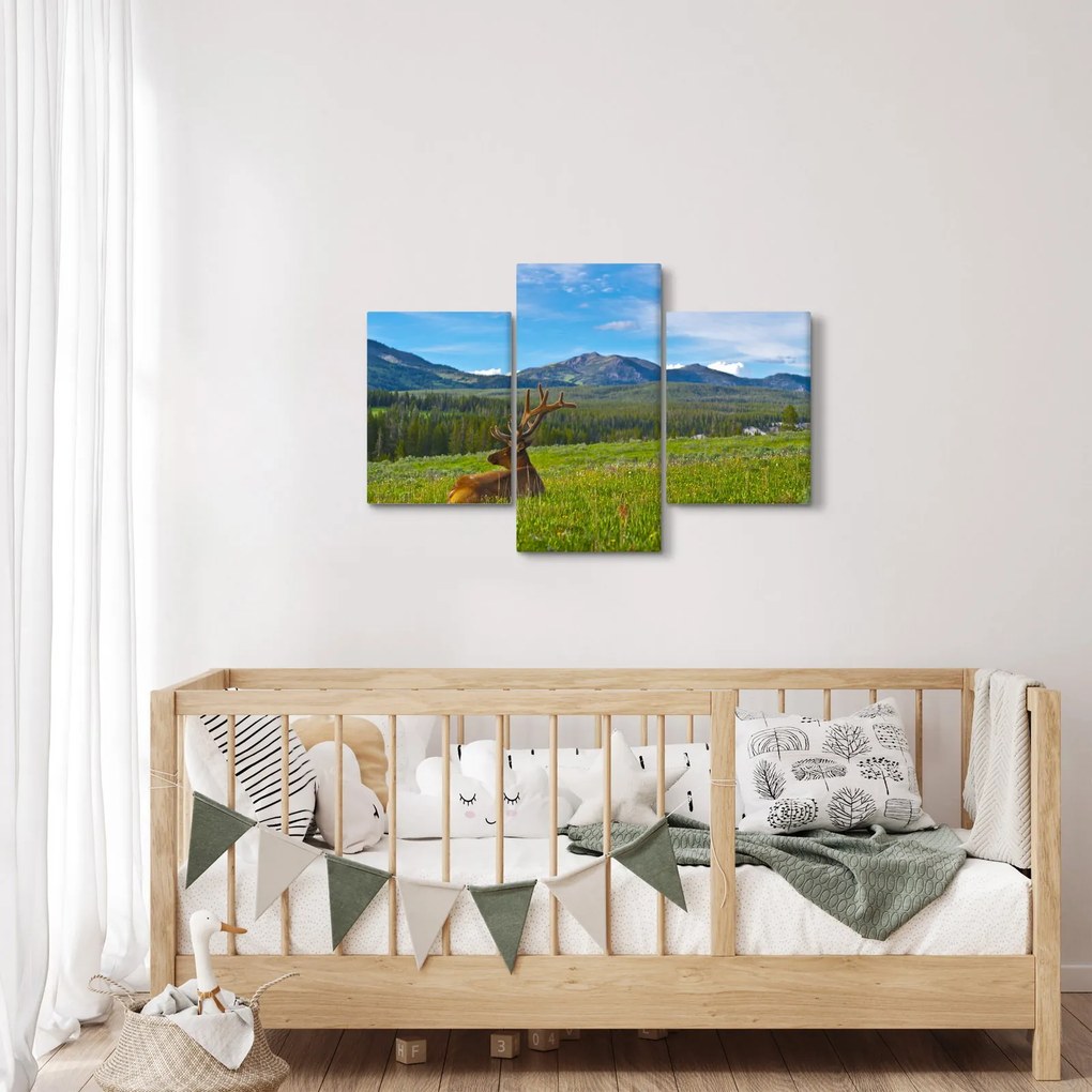 Obraz - Jeleň v lúke (90x60 cm)