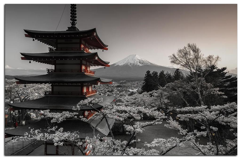 Obraz na plátne - Pohľad na horu Fuji  161FA (75x50 cm)