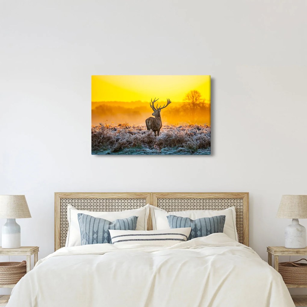 Obraz - Jeleň pri východe slnka (90x60 cm)