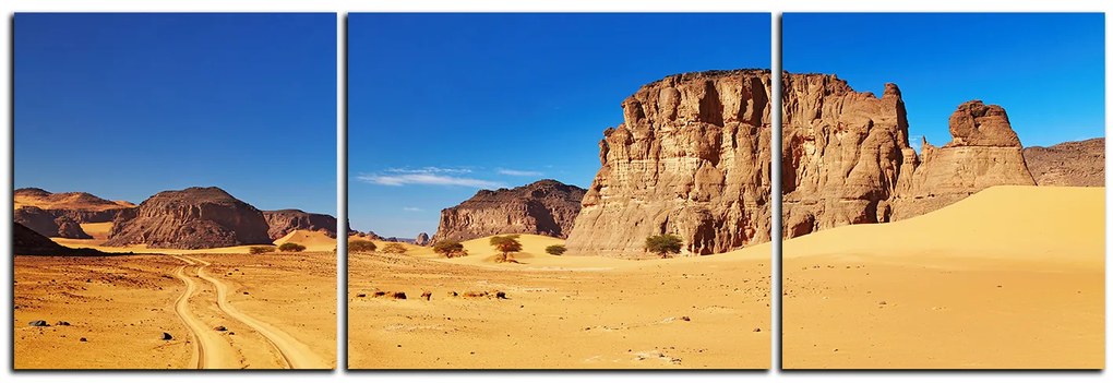 Obraz na plátne - Cesta v púšti - panoráma 5129C (150x50 cm)