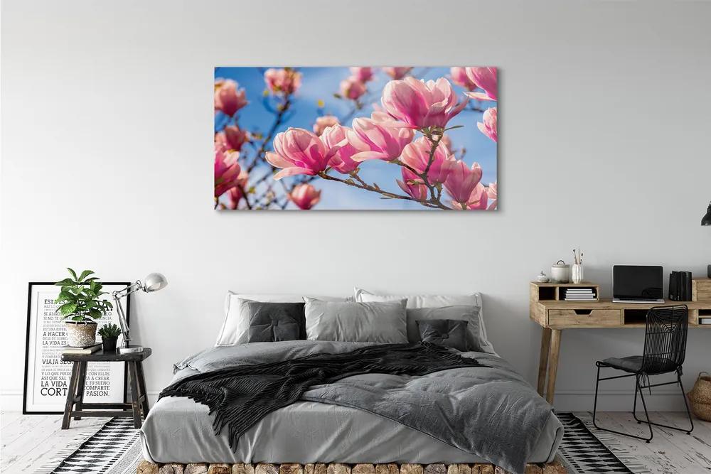 Obraz plexi Kvety 140x70 cm