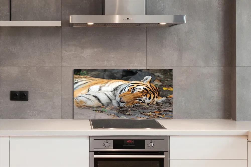 Nástenný panel  ležiace tiger 140x70 cm