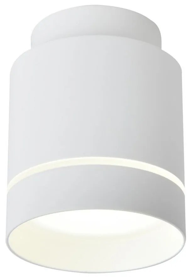 LED Stropné svietidlo TUBA LED/12W/230V