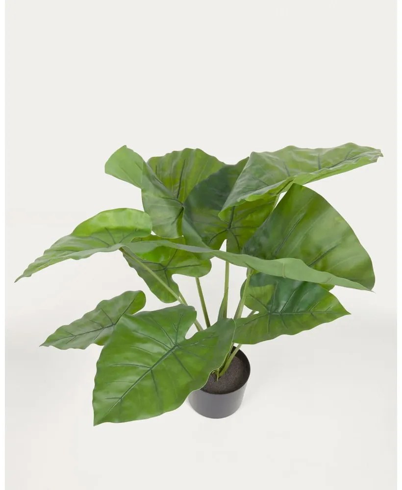 Umelá rastlina (výška 57 cm) Odora – Kave Home