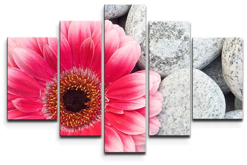 Sablio Obraz - 5-dílný Gerbera na kameňoch - 125x90 cm