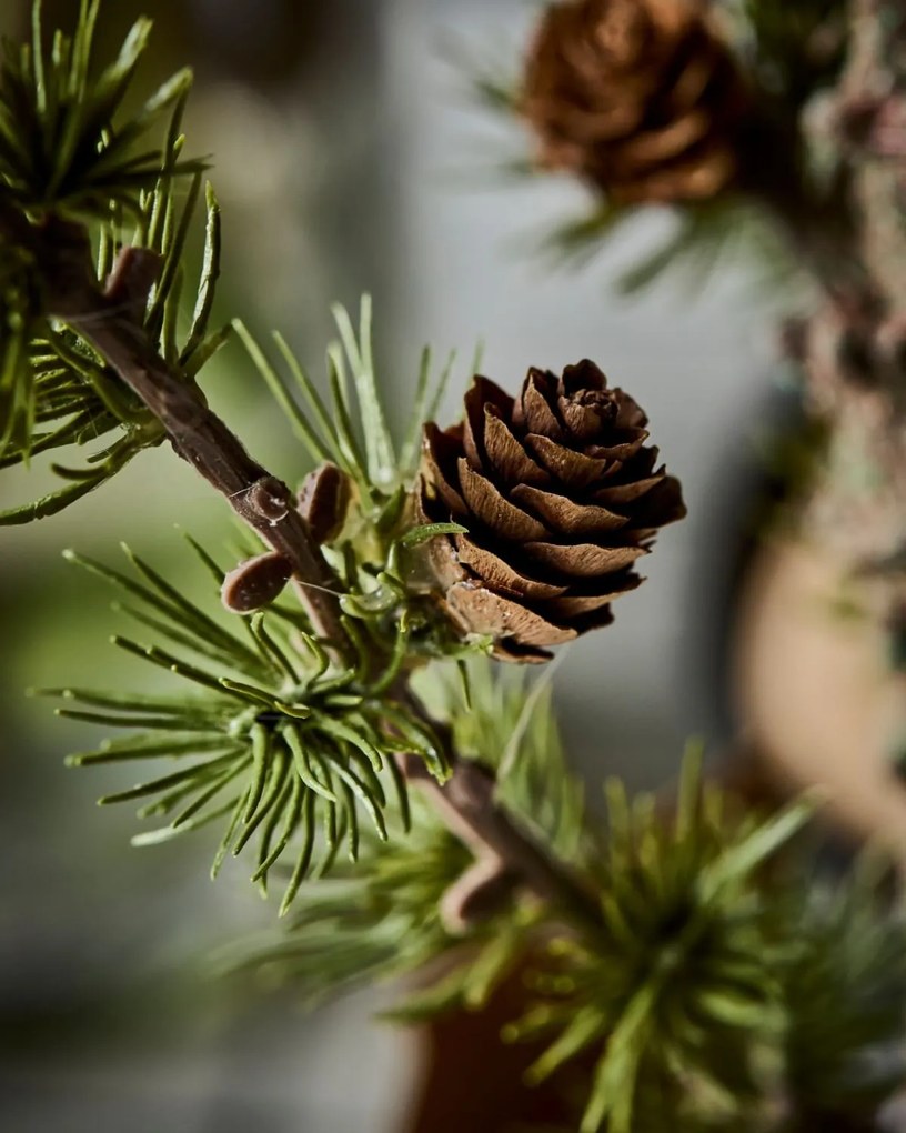 House Doctor Umelý stromček Cedar Stay Green 40 cm