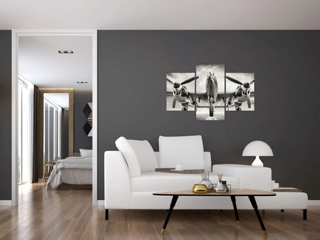 Obraz - Warbird (90x60 cm)