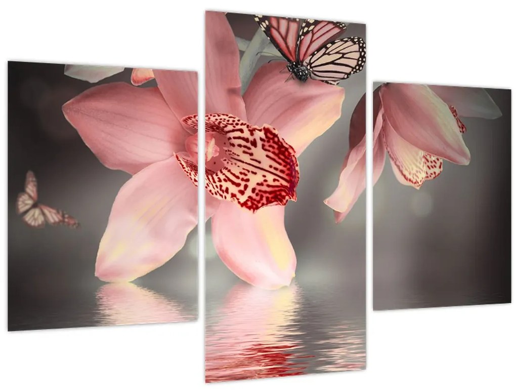 Obraz - Kvety a motýľ (90x60 cm)